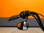 2010 HARLEY-DAVIDSON SOFTAIL CROSSBONES SPRINGER - FLSTSB - Image 18