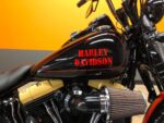 2010 HARLEY-DAVIDSON SOFTAIL CROSSBONES SPRINGER - FLSTSB - Image 7