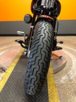 2010 HARLEY-DAVIDSON SOFTAIL CROSSBONES SPRINGER - FLSTSB - Image 9