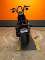 2010 HARLEY-DAVIDSON SOFTAIL CROSSBONES SPRINGER - FLSTSB - Image 10